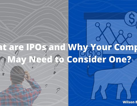 what are IPOs