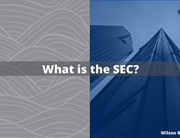 What is the SEC
