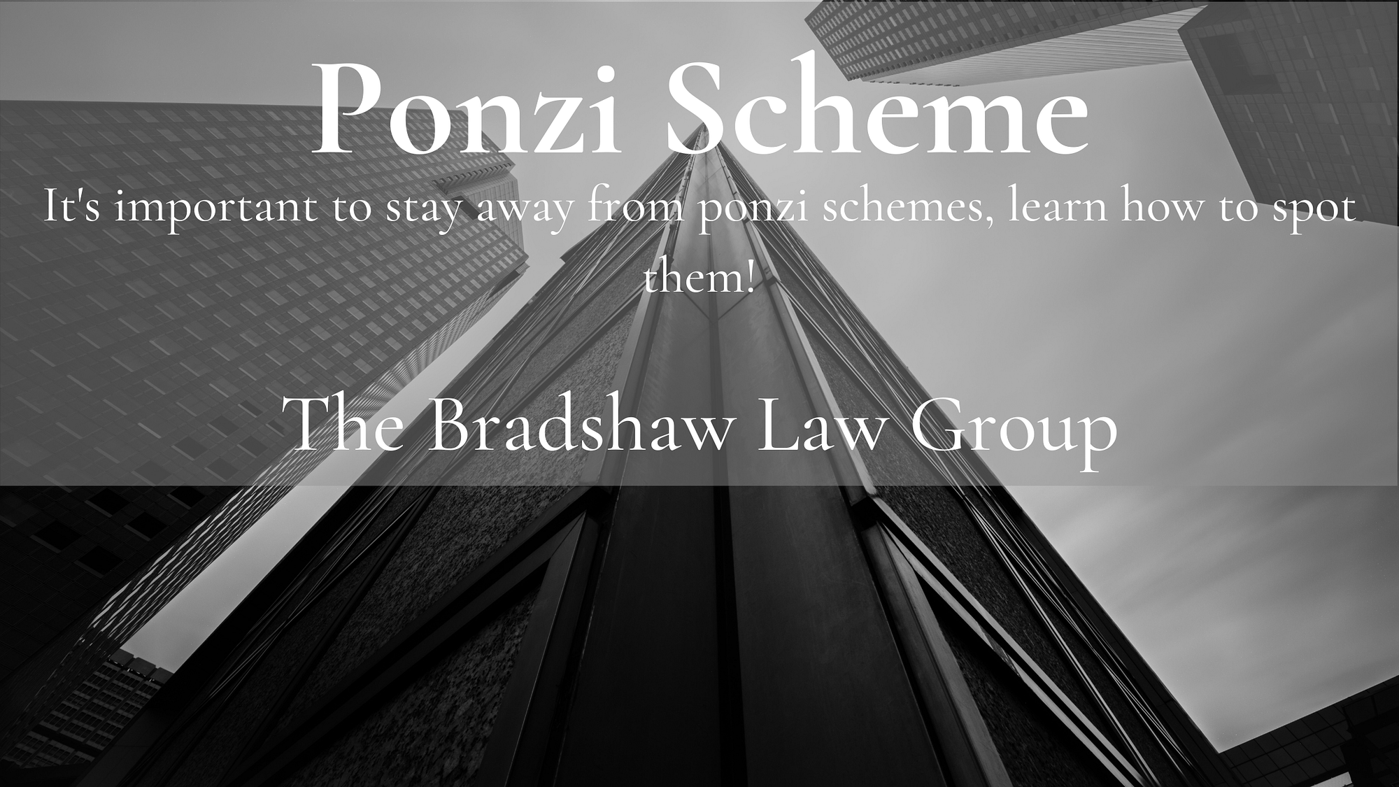 Ponzi Scheme Articles - Don't Fall Victim!